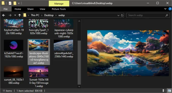 Enabling WebP Image Support in Windows Explorer