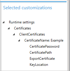 Selected customizations pane